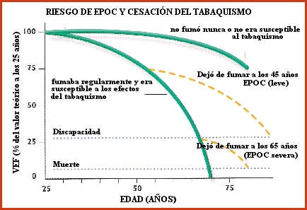 replacement market day epoch