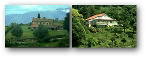 Villa Nougus