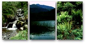 Laguna del Tesoro